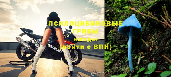 мдпв Волоколамск