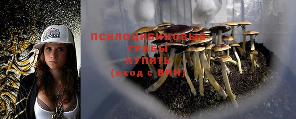 героин Вяземский